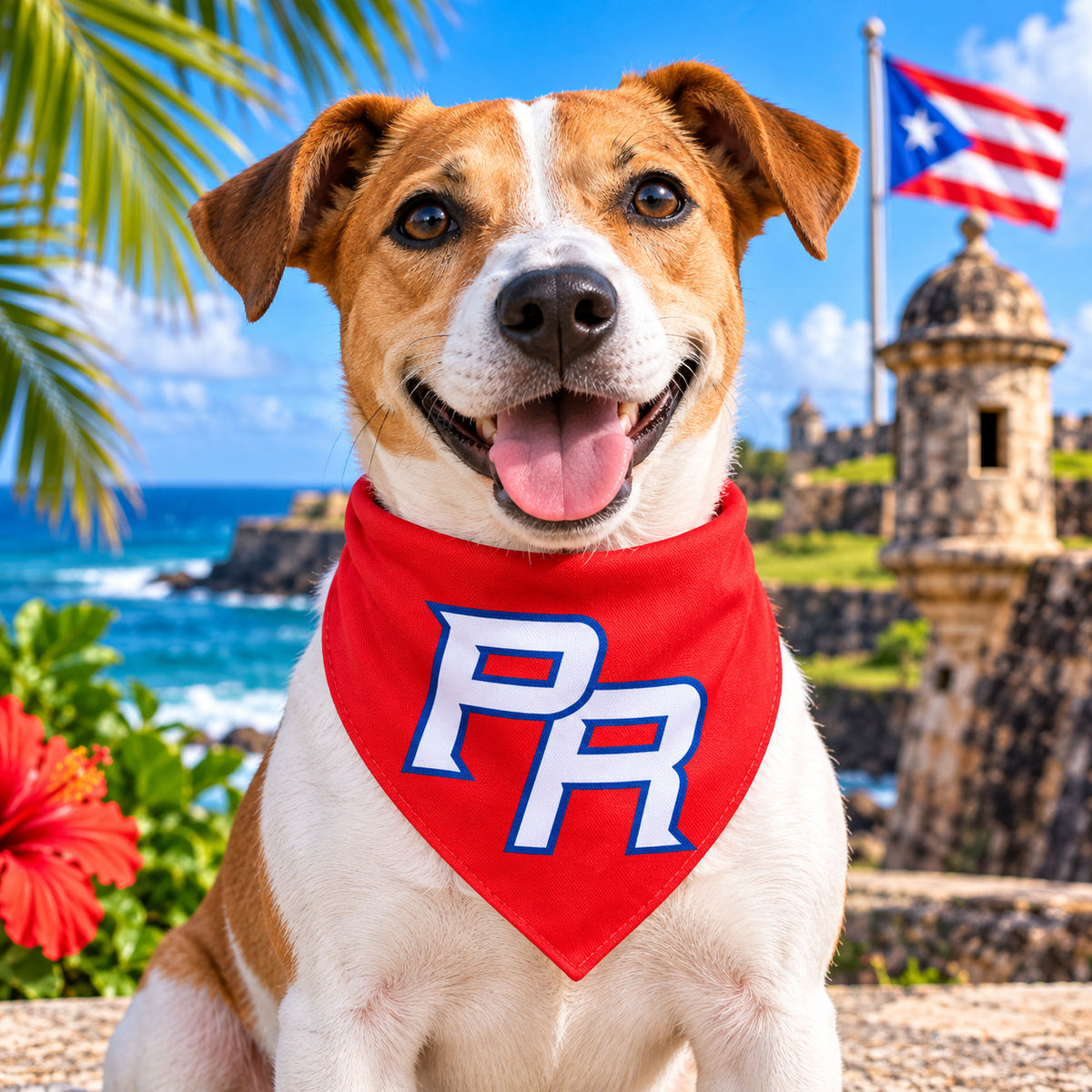 COLLAR PERRO PR