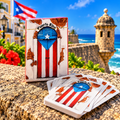 BRISCAS PR
