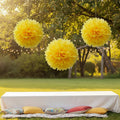 Decoración Fluffy