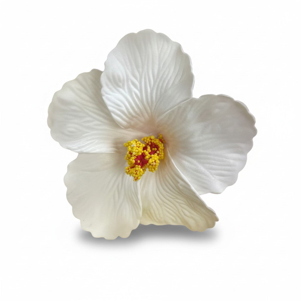 FLOR DE MAGA BLANCA